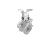 Animal Rabbit with Eyes and Nose Print