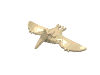 Набор LEGO Pteranodon, Tan