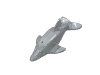 Dolphin [Undetermined Type]