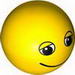Duplo Ball for Ball Tube with Smile and Black and White Eyes with Eyelids Print
