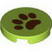 Tile Round 2 x 2 with Brown Paw Print
