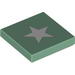 Tile 2 x 2 with White Five-Point Star Print