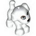 Friends Dog Small Standing with Patch over Eye and Spots Print
