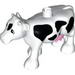 COW &quot