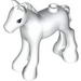 Horse Foal with Brown Eyes and Black Eyelashes Print