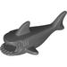 Shark Body with Three Gill Slits