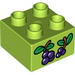 Brick 2 X 2 with Stylised Berries Print