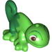 Chameleon with Black Eyes Print (Pascal)