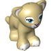 Lion Cub with Blue Eyes and Dark Pink Nose Print