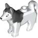 Dog Husky with Black Eyes, Black Nose Print and Marbled Dark Bluish Gray Ears and Back Pattern