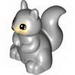 SQUIRREL NO 2