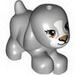 Dog Small Walking with Brown Eyes and Nose and Black Mouth Print