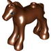 Horse Foal with Brown Eyes and Black Eyelashes Print