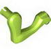 ANIMAL NO.3 FORELEG RIGHT NO.7