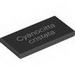 Tile 2 x 4 with White 'Cyanocitta cristata' Print