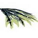 WING, 182X154MM,RIGHT,CUT PATTERN,NO.1