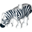 Набор LEGO ZEBRA DEC., Белый