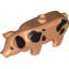 Набор LEGO Pig With Black Spots and Ear Print, Flesh
