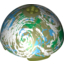 Набор LEGO Hemisphere 11 x 11 - 4 Studs on Top with Endor Blue / Green / Olive / White Planet Print [9679], Оливковый
