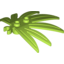 Набор LEGO Plant Leaves 6 x 5 Swordleaf with Clip  (thick open O clip), Лайм