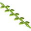 Набор LEGO Plant Vine with Leaves, 16L, Лайм
