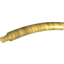 Набор LEGO Dinosaur Tail / Neck Middle Section with Pin, Pearl Gold