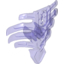 Набор LEGO SHELL W/10,2 BALL SNAP NO.1, Trans-Purple