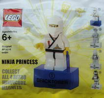 Набор LEGO 2856223 Магнит Принцесса Ниндзя