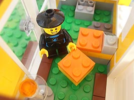 Набор LEGO 31035 Китайский магазин фруктов