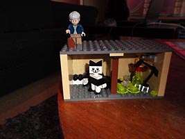 Набор LEGO MOC-0757 Кот Шредингера