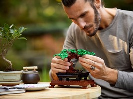 Набор LEGO Bonsai