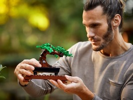 Набор LEGO Bonsai