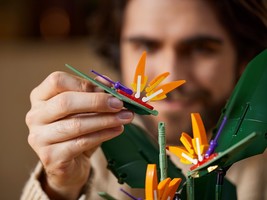Набор LEGO Bird of Paradise