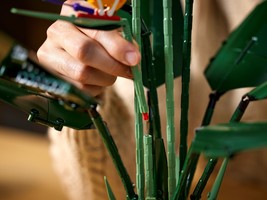 Набор LEGO Bird of Paradise