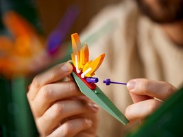 Набор LEGO Bird of Paradise