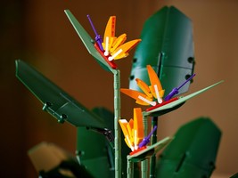 Набор LEGO Bird of Paradise