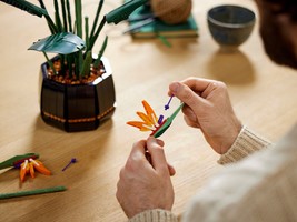Набор LEGO Bird of Paradise