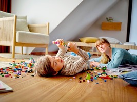 Набор LEGO Creative Building Bricks