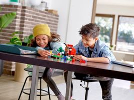 Набор LEGO Шерстяная ферма
