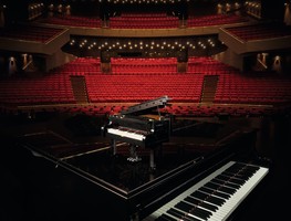 Набор LEGO Grand Piano