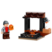 Набор LEGO 30390 Dinosaur Market