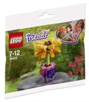 Набор LEGO 30404 Friendship Flower