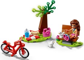 Набор LEGO Пикник в парке