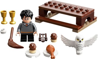 Набор LEGO 30420 Harry Potter and Hedwig