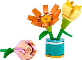 Набор LEGO 30634 Friendship Flowers
