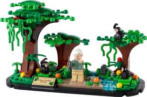 Набор LEGO 40530 Jane Goodall Tribute