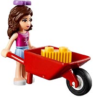 Набор LEGO Новорожденная лошадка Оливии