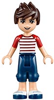Набор LEGO Воздушный шар Хартлейк Сити