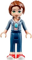 Набор LEGO Побег Эмили на орле