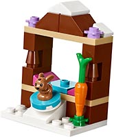 Набор LEGO Зимний отдых: Каток